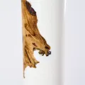 Кальян Aroma Hookah X-Ray Epoxy White